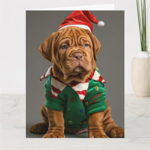 Dogue de Bordeaux Elf Puppy-julkort Kort