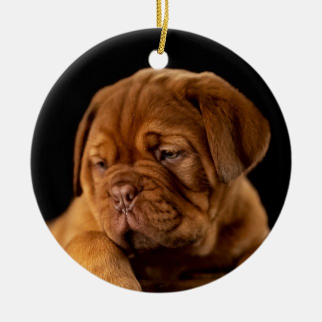 Dogue de Bordeaux - Fransk Mastiff Julgransprydnad Keramik (Framsidan)