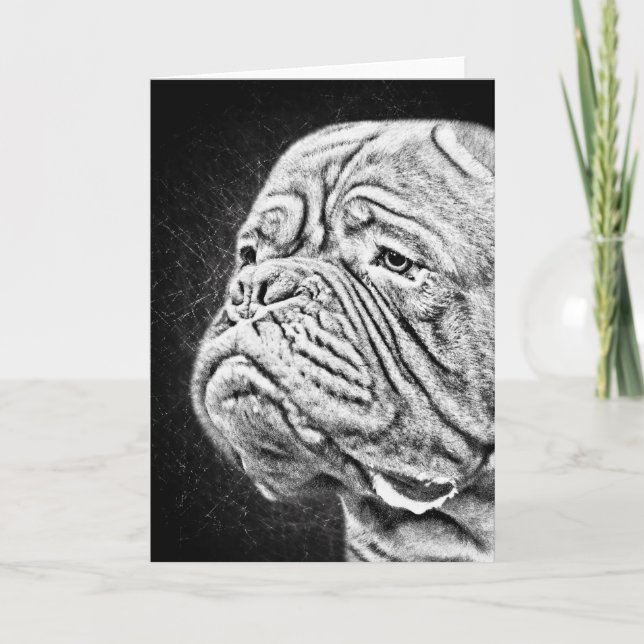 Dogue De Bordeaux - fransk Mastiff Kort (Framsida)