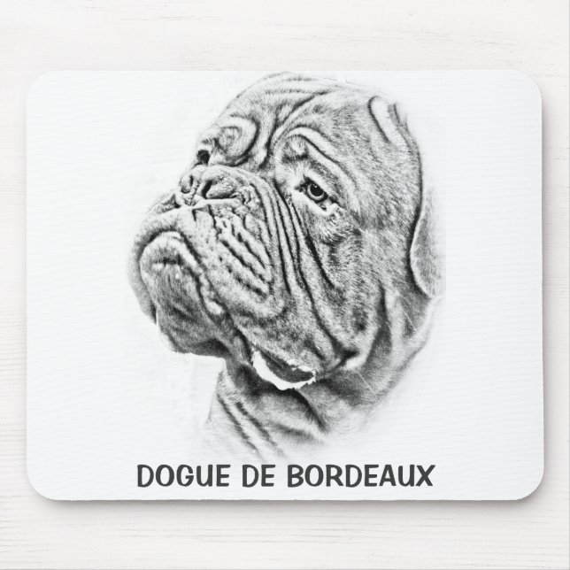 Dogue De Bordeaux - fransk Mastiff Musmatta (Framsidan)
