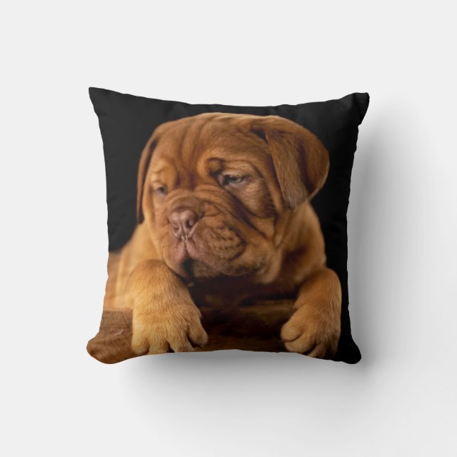 Dogue de Bordeaux - Fransk Mastiff Puppy Hund Kudde (Framsida)