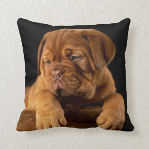 Dogue de Bordeaux - Fransk Mastiff Puppy Hund Kudde