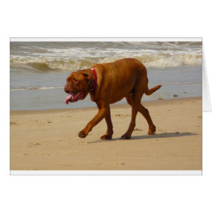 dogue de bordeaux hälsningskort