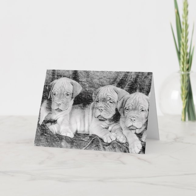 Dogue de bordeaux-hälsningskort kort (Framsida)
