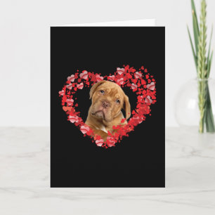 Dogue de bordeaux hjärtgåva till hundälskare kort