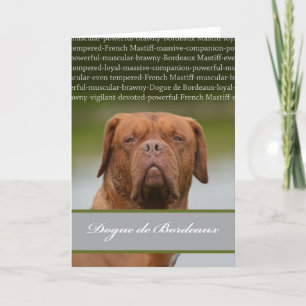 Dogue de Bordeaux, hund avelnbeskrivning Helgkort