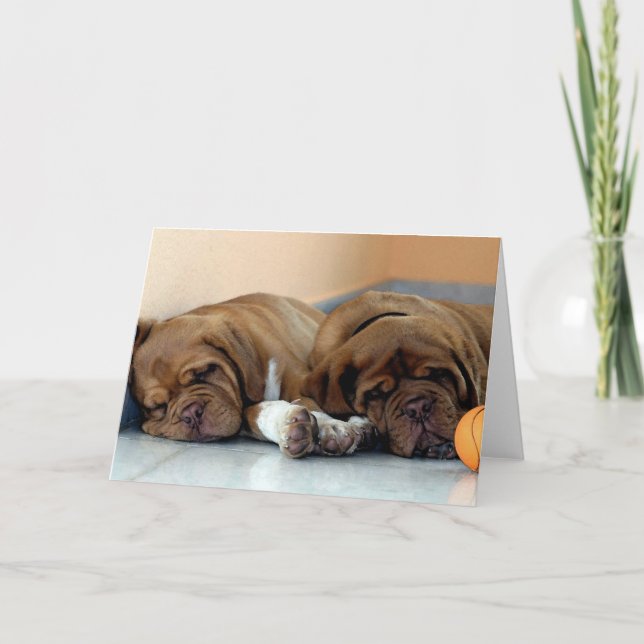 Dogue de Bordeaux Hund Blank Greeting Card Kort (Framsida)