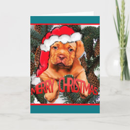 Dogue de Bordeaux jul Helgkort