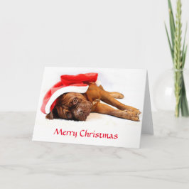 Dogue de Bordeaux julkort Helgkort