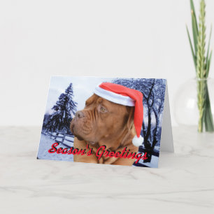 Dogue de Bordeaux julkort Helgkort