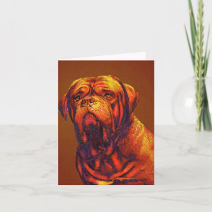 dogue de bordeaux kort