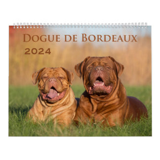 Dogue de Bordeaux Large Wall Calendar Kalender