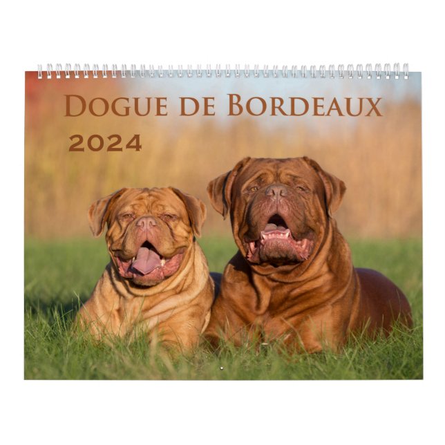 Dogue de Bordeaux Large Wall Calendar Kalender (Omslag)