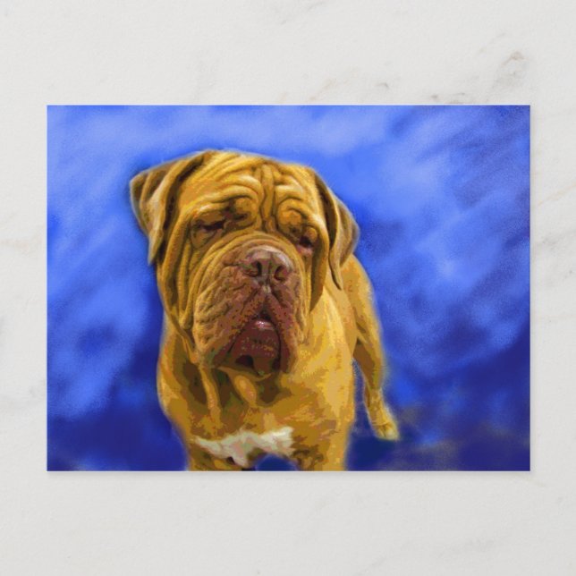 Dogue de Bordeaux Postcards Vykort (Framsida)