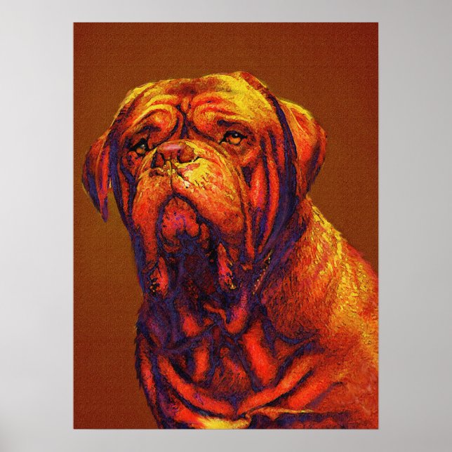 dogue de bordeaux poster (Framsidan)