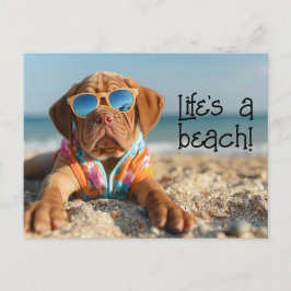 Dogue de Bordeaux Puppy med solglasögon Vykort