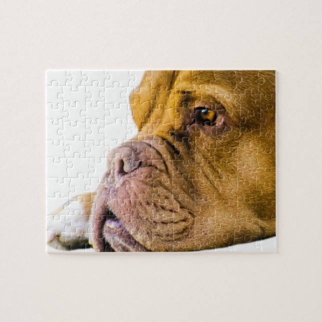 Dogue de Bordeaux Pussel (Horisontell)