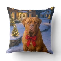 Dogue de Bordeaux semester