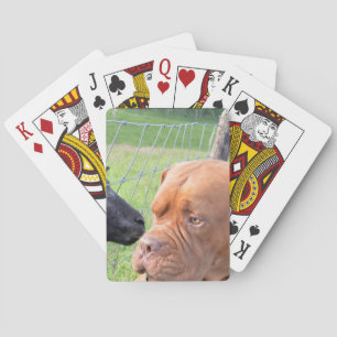 Dogue de Bordeaux Spelkort