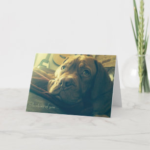 Dogue de Bordeaux tänker på dig Kort
