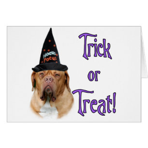 Dogue de Bordeaux Trick Hälsningskort