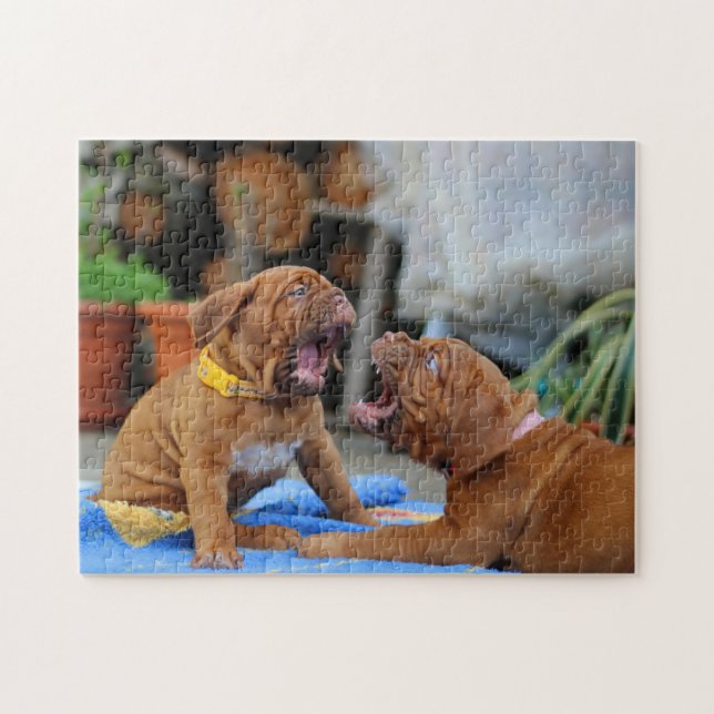 Dogue de Bordeaux-valpar Pussel (Horisontell)