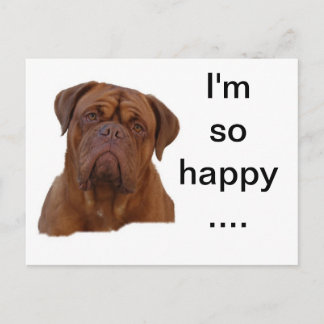 Dogue de Bourdeaux Vykort