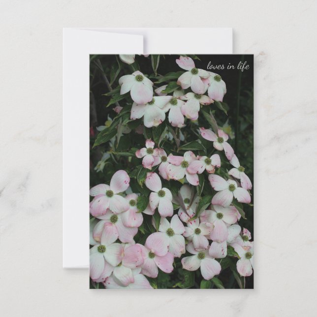 Dogwood Anteckningskort (Framsida)