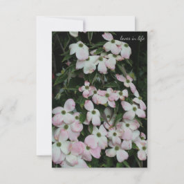 Dogwood Anteckningskort