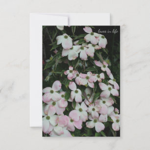 Dogwood Anteckningskort