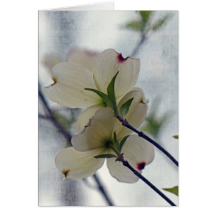 Dogwood-Blommar Hälsningskort