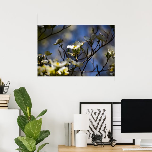 Dogwood Blommar Poster (Hemmakontoret)