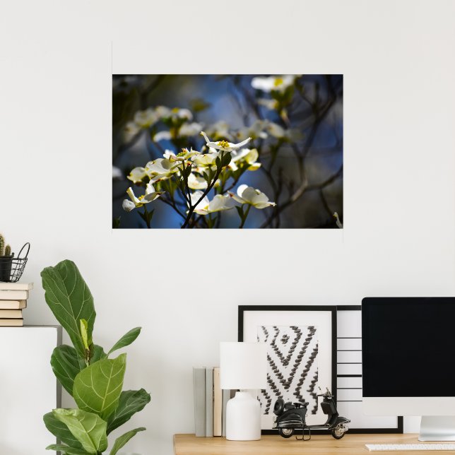 Dogwood Blommar Poster (Hemmakontoret)