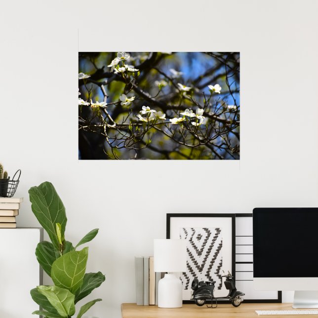 Dogwood Blommar Poster (Hemmakontoret)