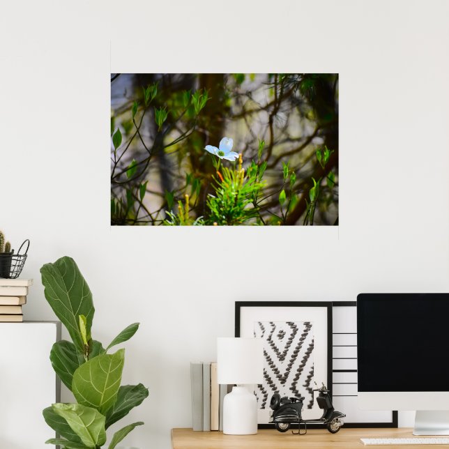Dogwood Blommar Poster (Hemmakontoret)