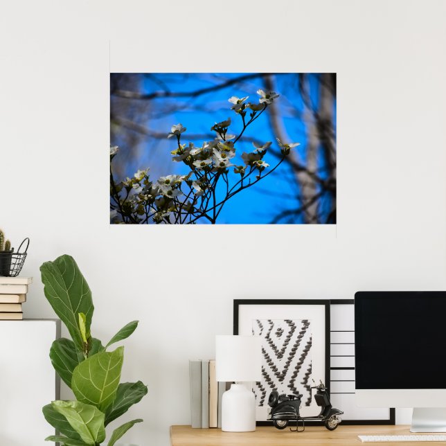 Dogwood Blommar Poster (Hemmakontoret)