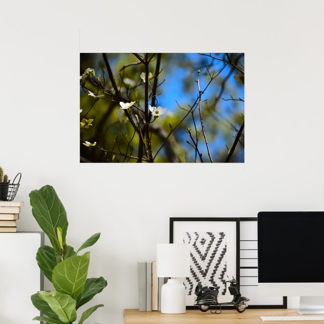 Dogwood Blommar Poster (Hemmakontoret)