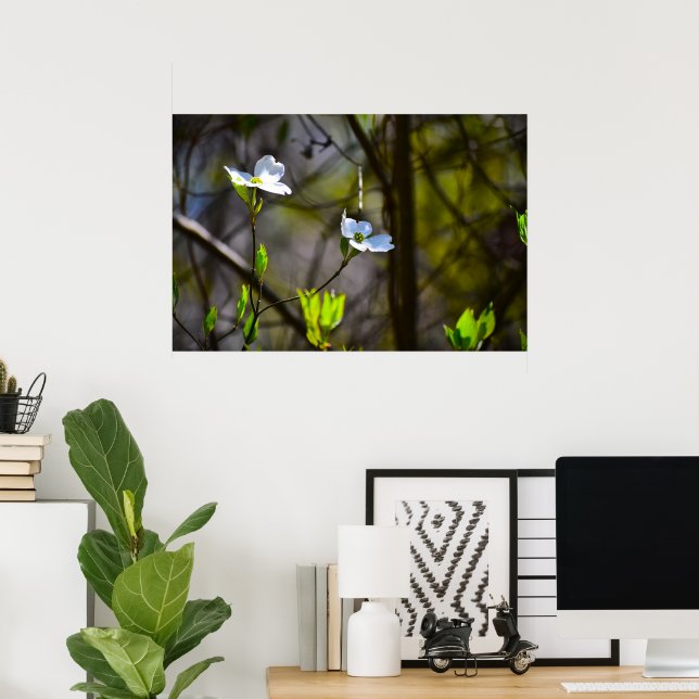 Dogwood Blommar Poster (Hemmakontoret)