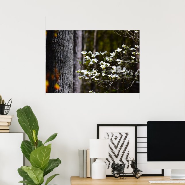 Dogwood Blommar Poster (Hemmakontoret)