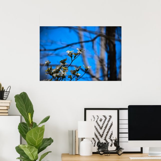 Dogwood Blommar Poster (Hemmakontoret)