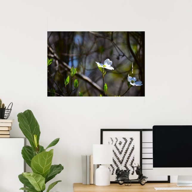 Dogwood Blommar Poster (Hemmakontoret)