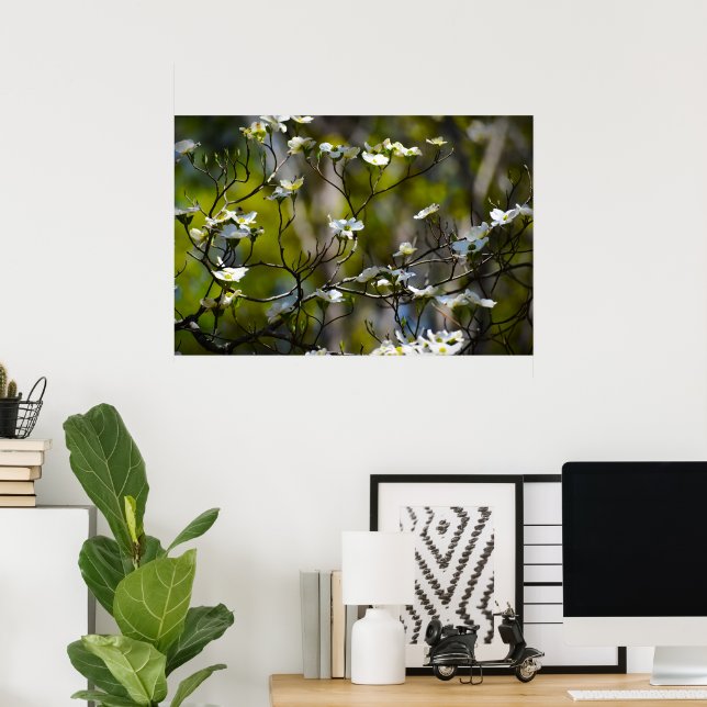 Dogwood Blommar Poster (Hemmakontoret)