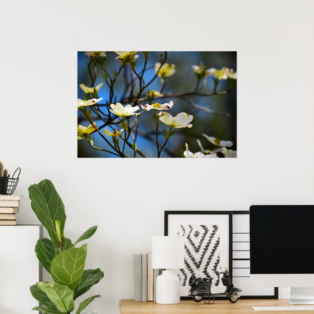 Dogwood Blommar Poster (Hemmakontoret)
