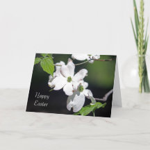 Dogwood Blommars Påsk kort