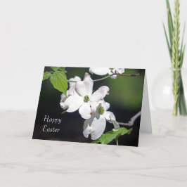Dogwood Blommars Påsk kort