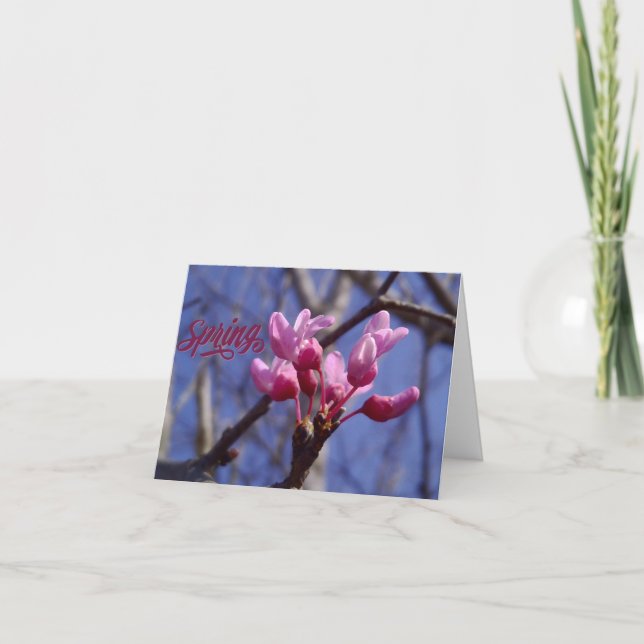 Dogwood Blossom Blank Greeting Card Tack Kort (Framsida)