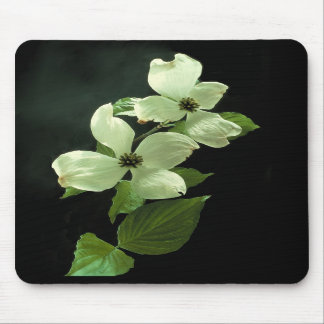 Dogwood Blossum Mousepad Musmatta