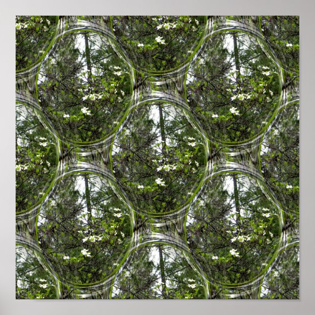 Dogwood Bubbles.... Poster (Framsidan)