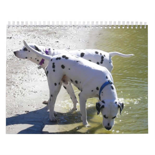 DogWood Calendar 2007 Kalender (Omslag)