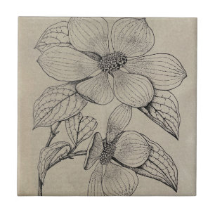 Dogwood Ceramic Tile Kakelplatta